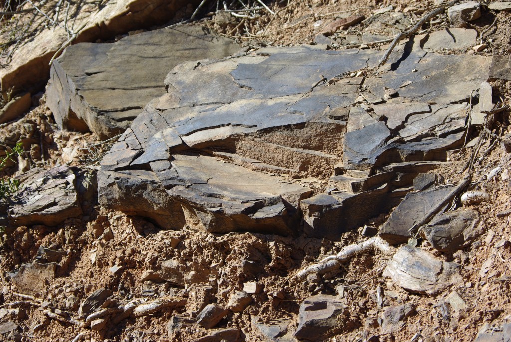 Never say “Never!” Mark 13:1-8 Ordinary 33B